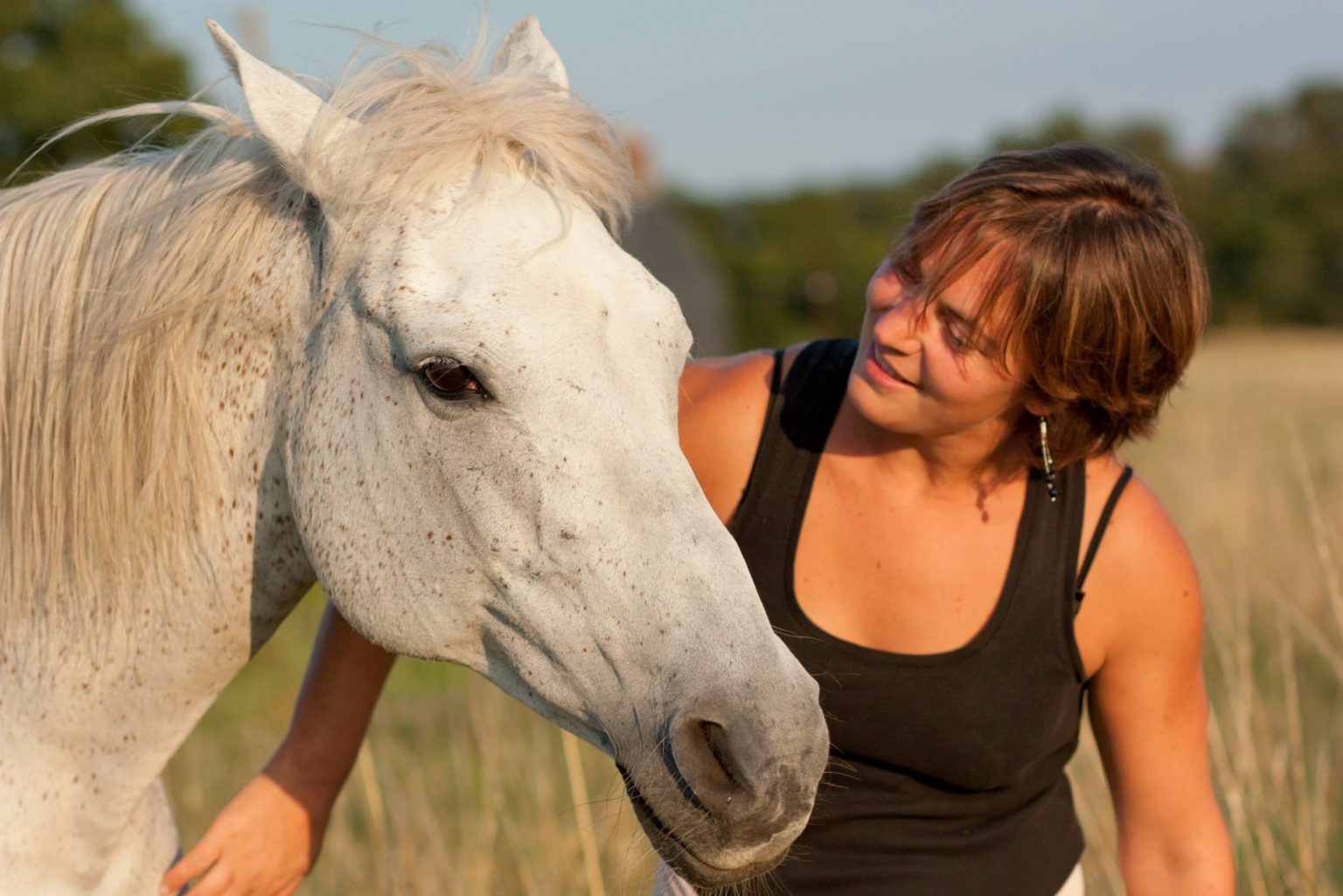 Difference Entre Dos D Ane Et Ralentisseur L'équitation: le sport zen qui fait du bien - Chez Séraphin